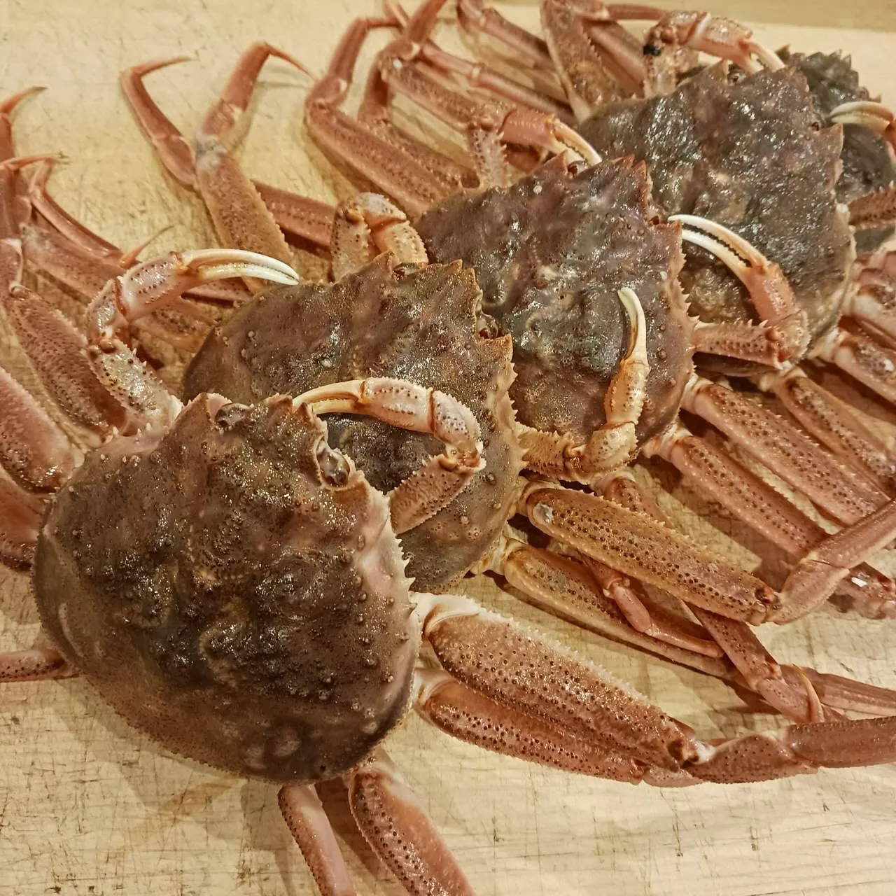 【セイコ蟹の甲羅蒸し】