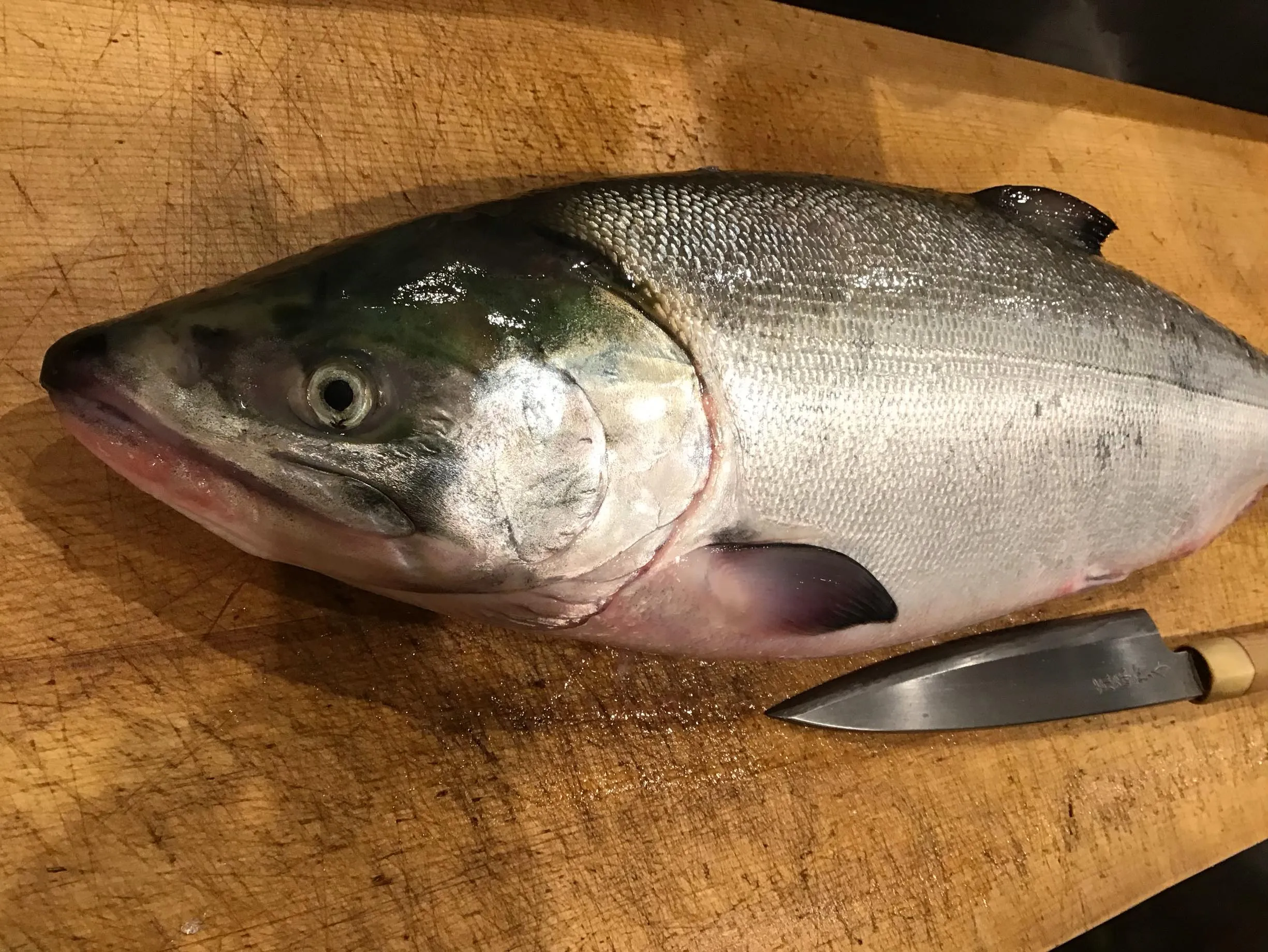 マコガレイ、真牡蠣、新銀杏、秋鮭