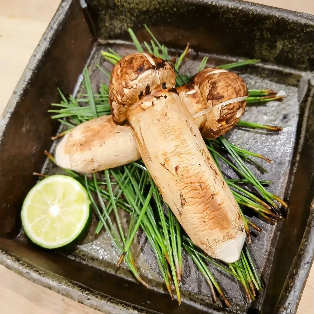 焼き松茸